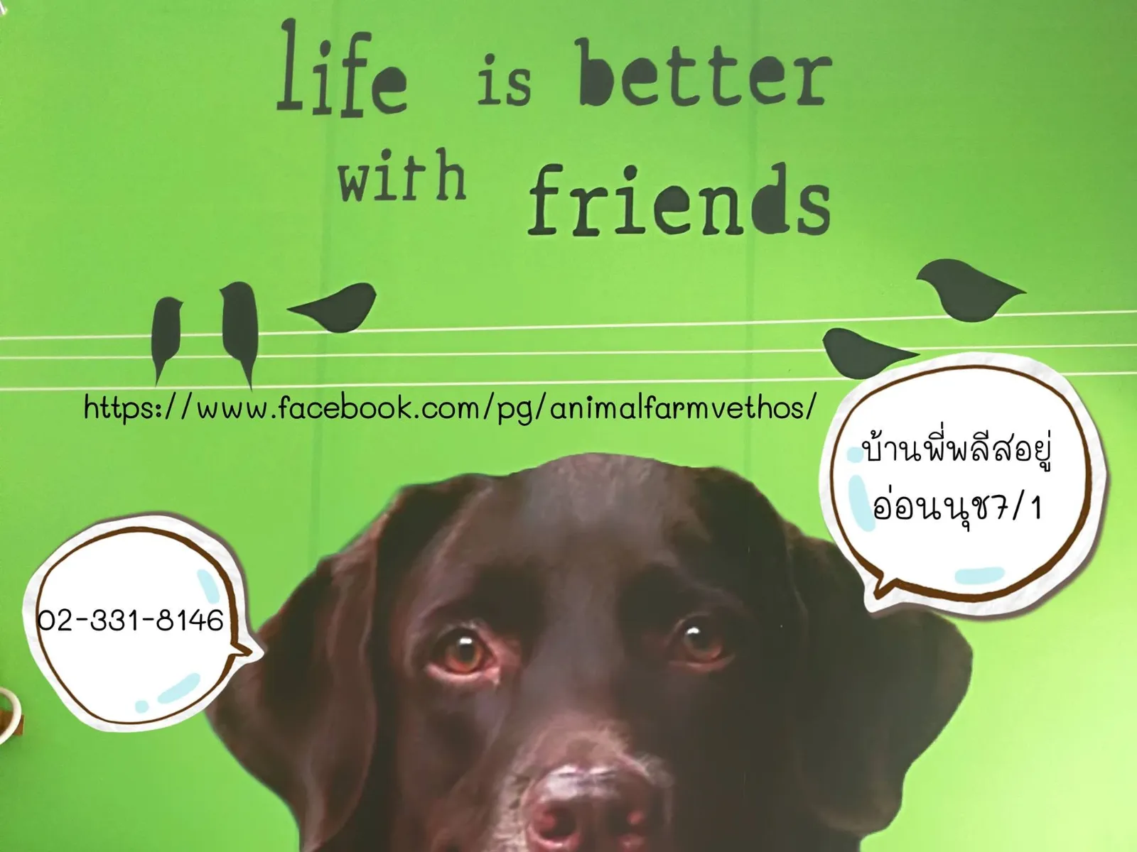รูปโรงพยาบาลสวนสัตว์ (Animal Farm Veterinary Hospital) 2