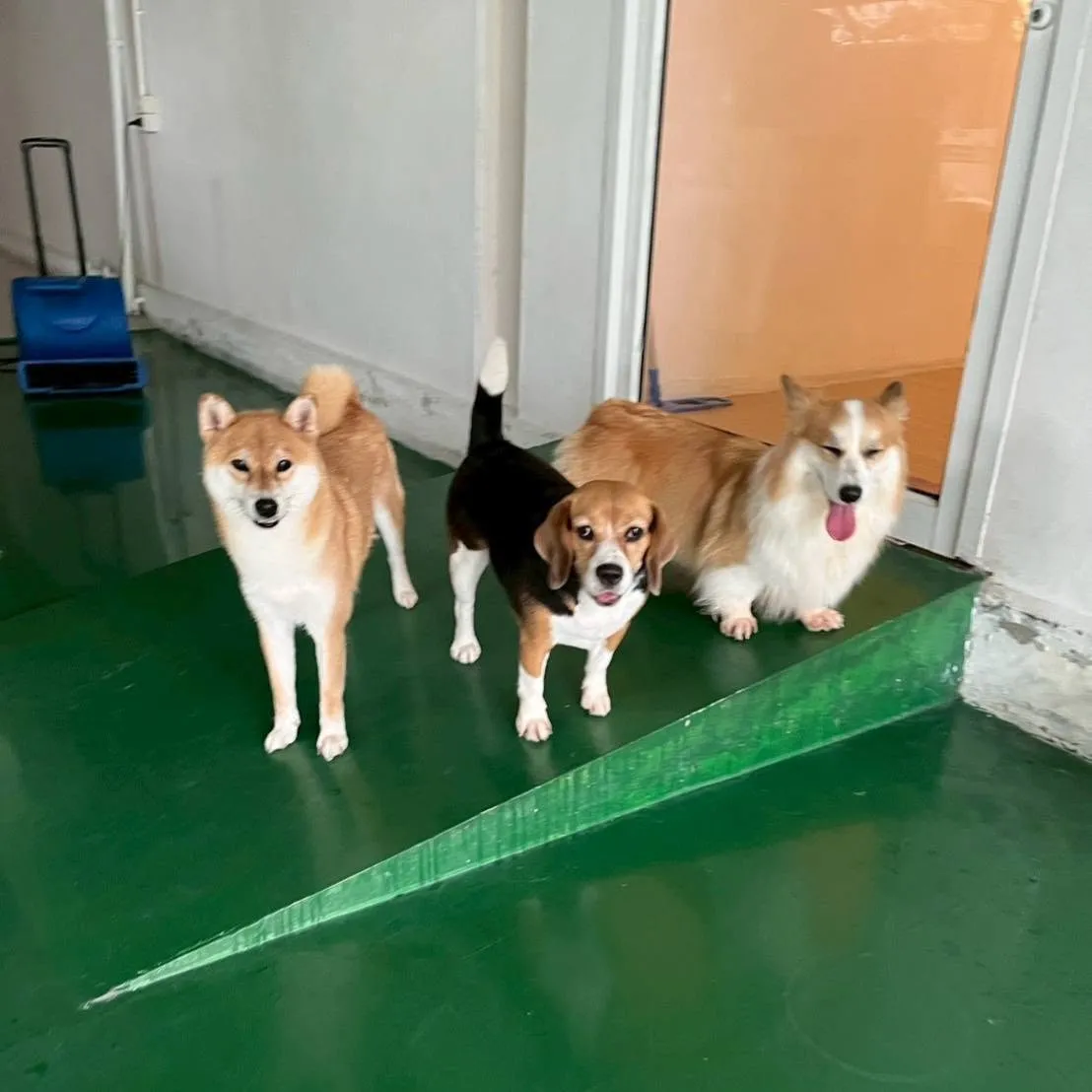 รูปโรงพยาบาลสัตว์ประเวศ (Prawet Pet Hospital) 3
