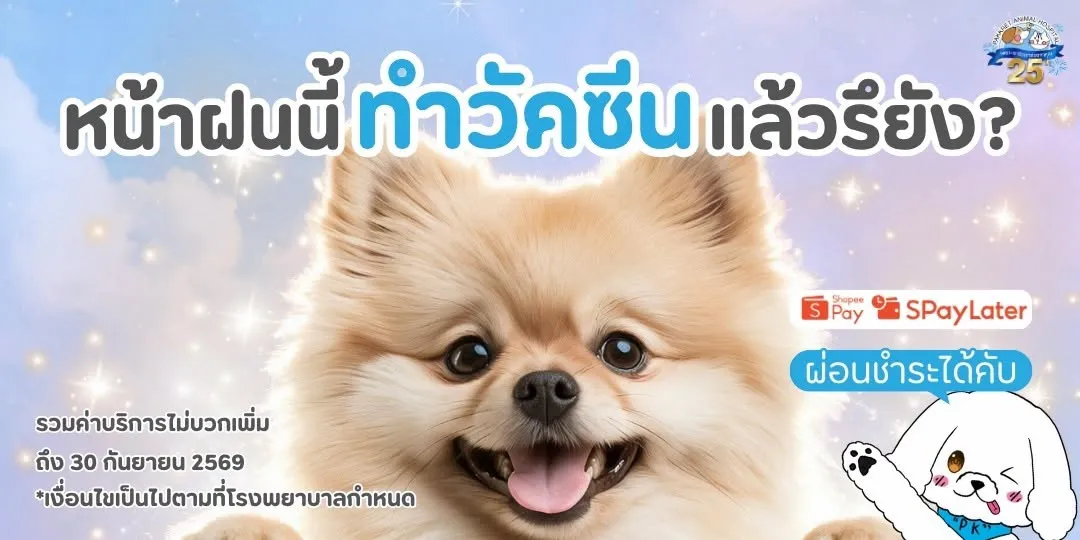 รูปโรงพยาบาลสัตว์ปากเกร็ด 3