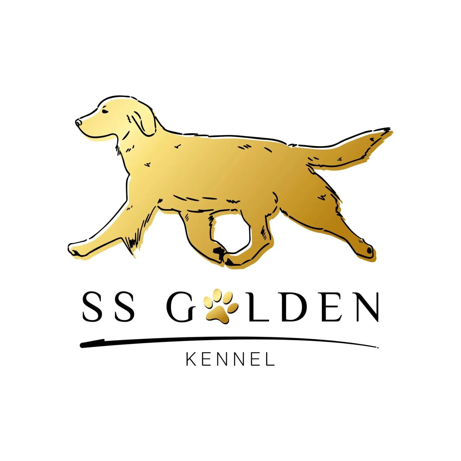 รูปSS Golden Kennel 1 จาก 3