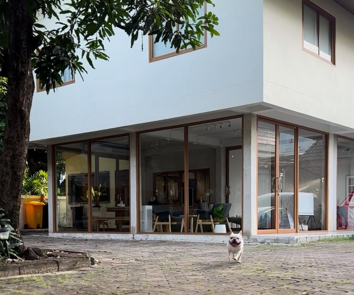 รูปLove French Home - Dog Hotel โรงแรมน้องหมาเลิฟเฟรนช์โฮม 2 จาก 3