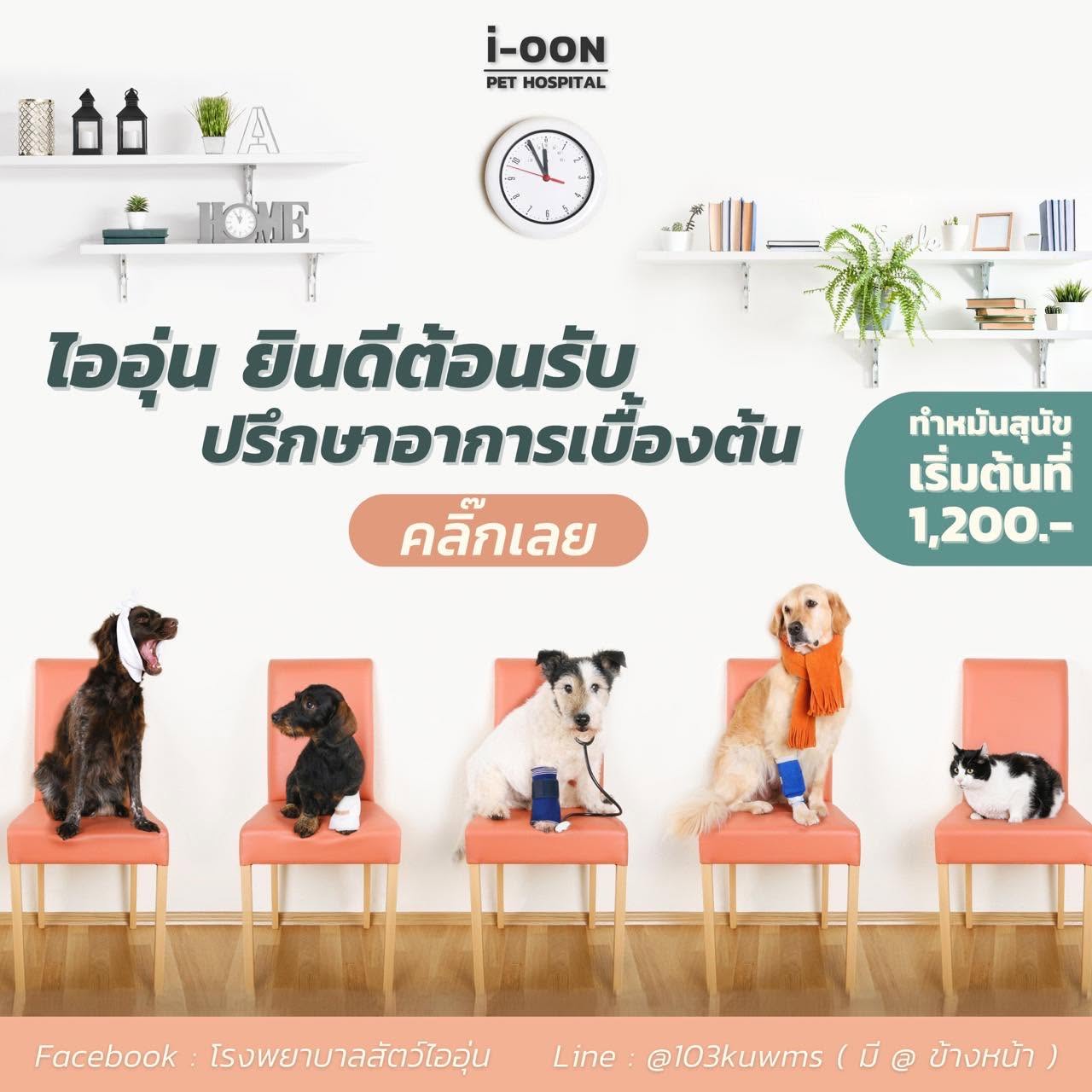 รูปโรงพยาบาลสัตว์ไออุ่น 3