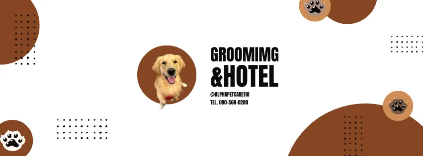 รูปAlpha Pet Care อาบน้ำตัดขน ฝากเลี้ยงสัตว์ รามคำแหง 2