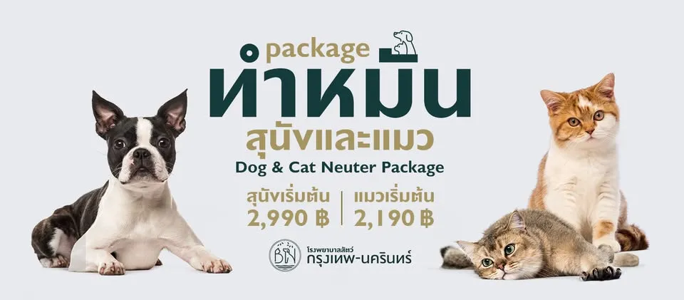 รูปโรงพยาบาลสัตว์ กรุงเทพ-นครินทร์ (Bangkok-Nakarin Animal Hospital) 3