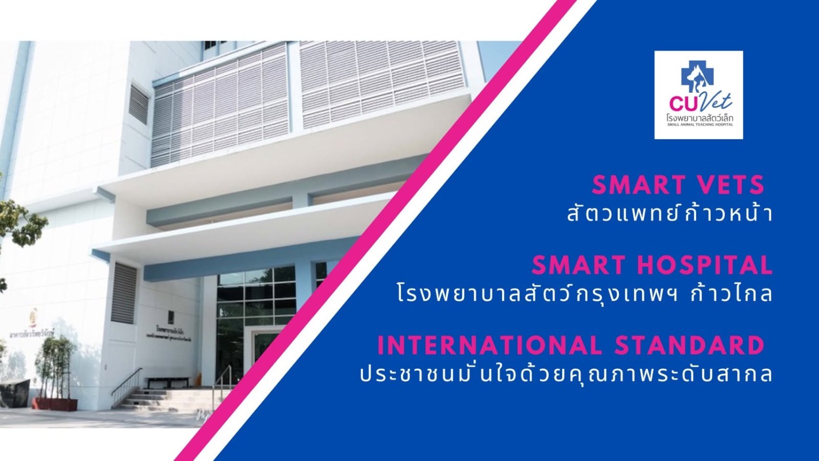 รูปโรงพยาบาลสัตว์เล็ก คณะสัตวแพทยศาสตร์ จุฬาลงกรณ์มหาวิทยาลัย 2 จาก 3