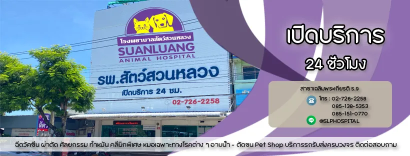 รูปโรงพยาบาลสัตว์สวนหลวง สาขาถนนเฉลิมพระเกียรติ 2