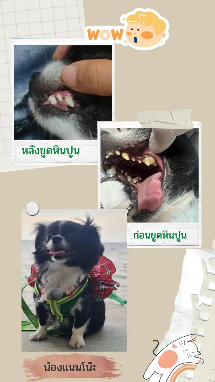 รูปโรงพยาบาลสัตว์คลองจั่น (Klongjan Pet Hospital) 3