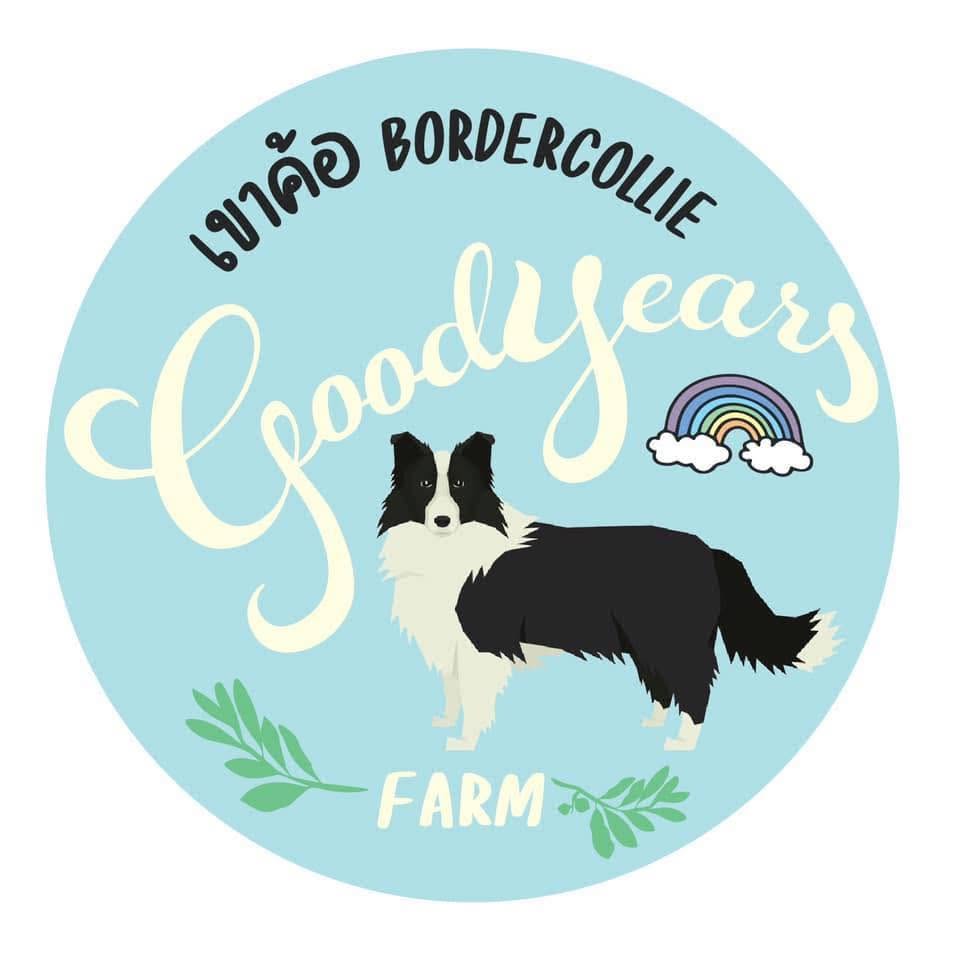 เขาค้อ BorderCollie (Goodyears Farm)