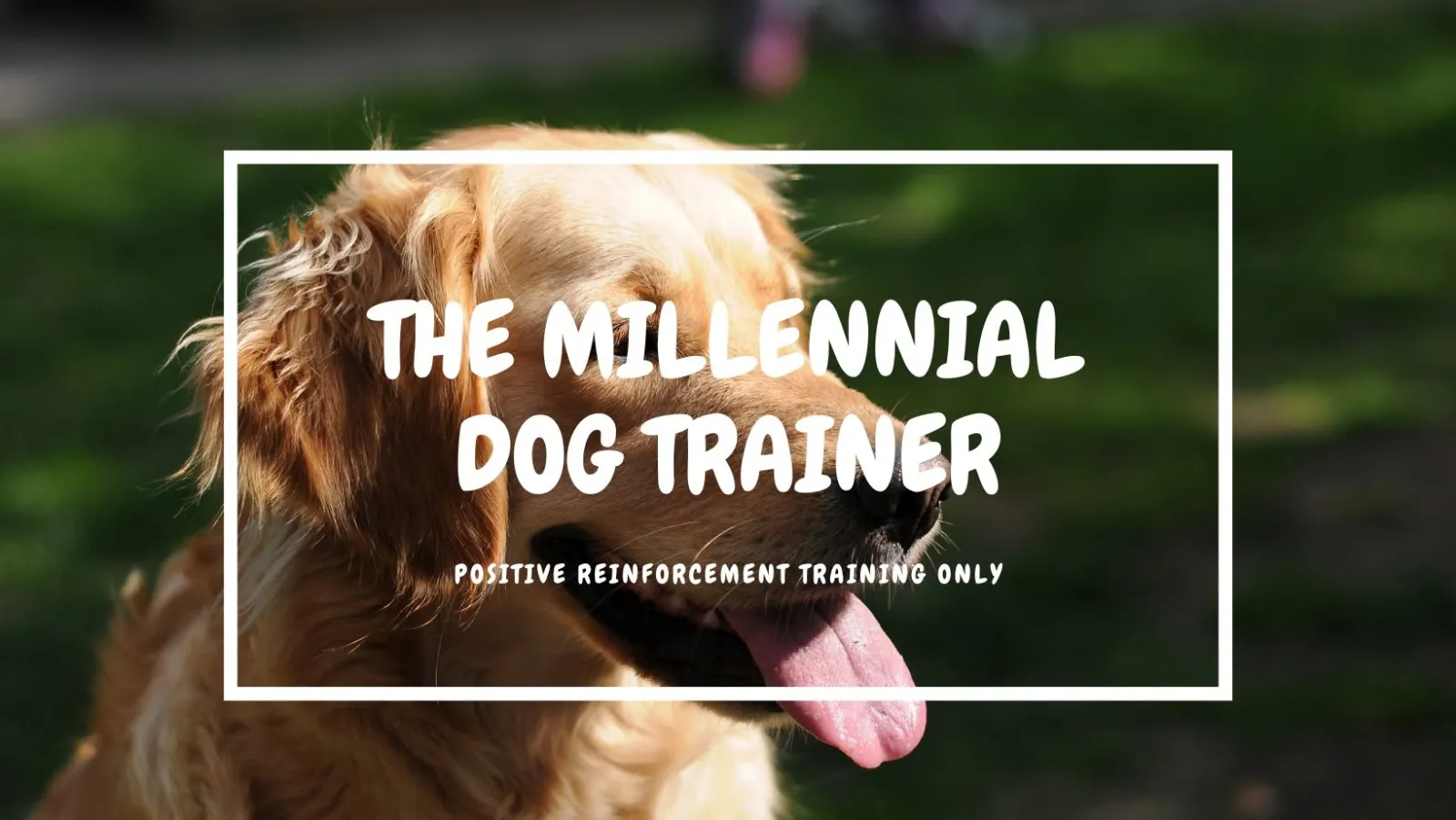 รูปThe Millennial Dog Trainer 2