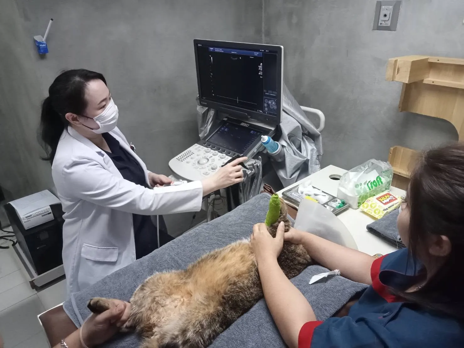 รูปโรงพยาบาลสัตว์โอะไดจินิ สาขารามอินทรา (Odaijini Pet Hospital) 2