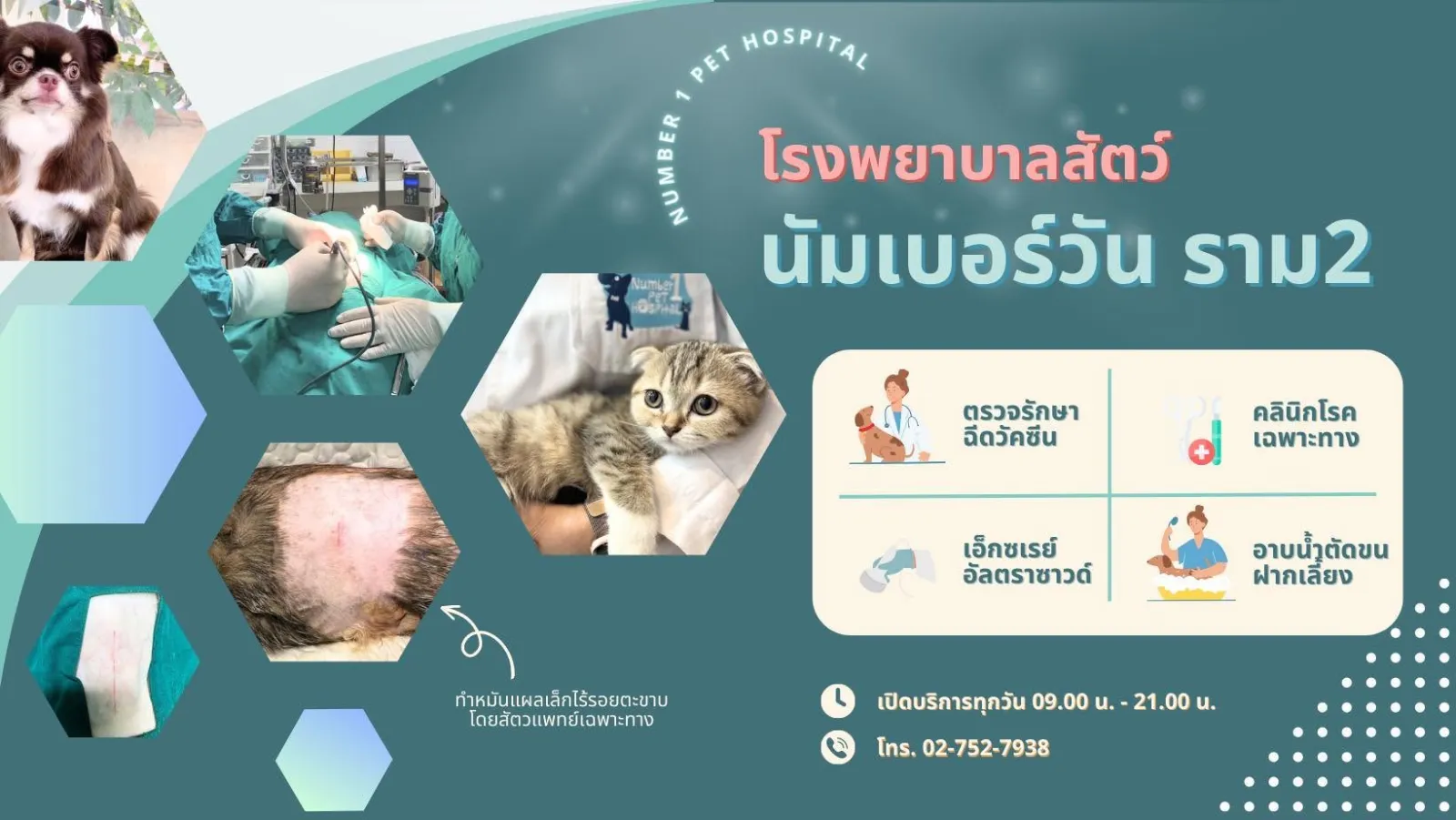 รูปโรงพยาบาลสัตว์นัมเบอร์วัน ราม 2 (Number One Pet Hospital) 2