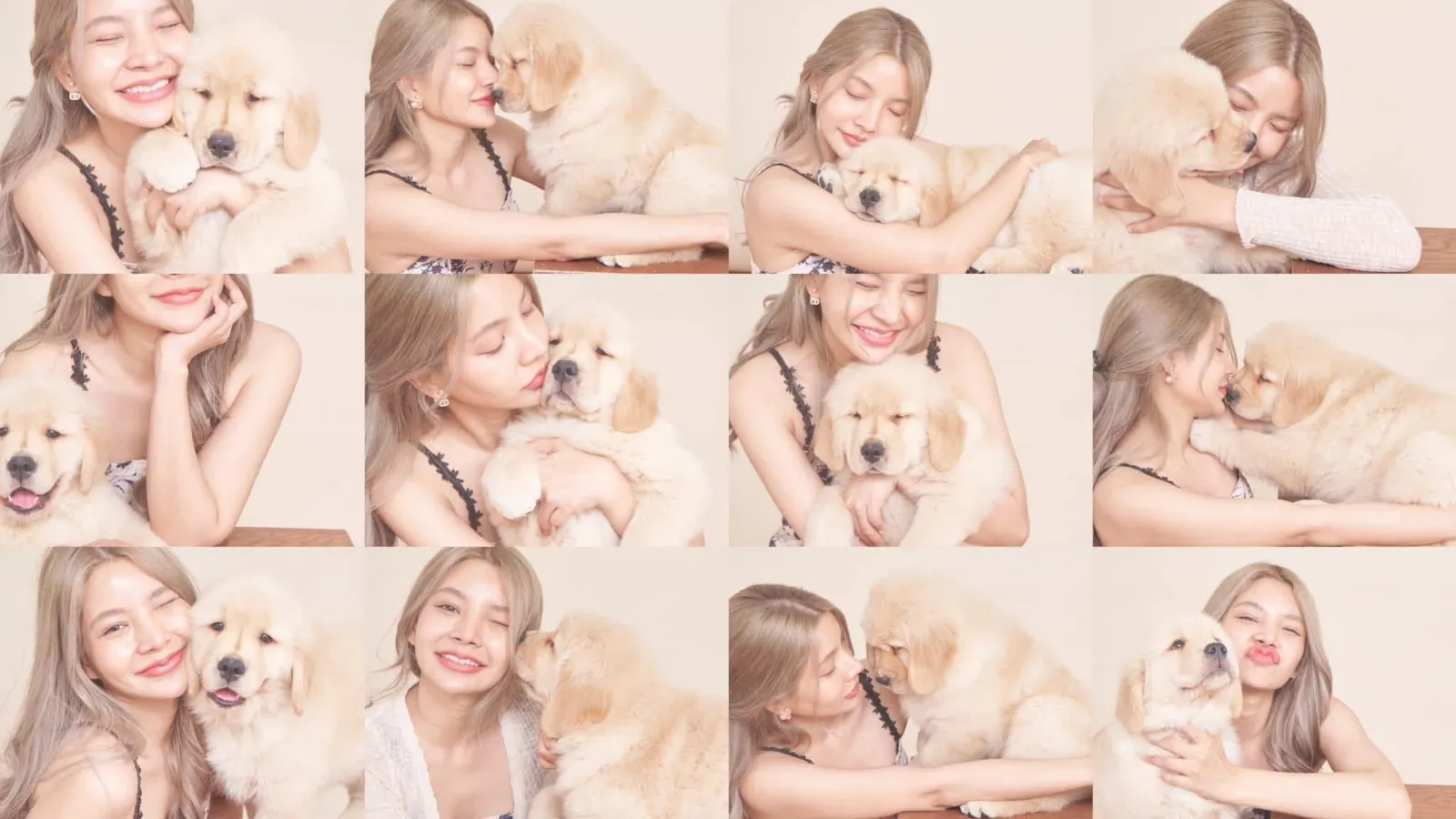 รูปGolden Future Kennel 3 จาก 3
