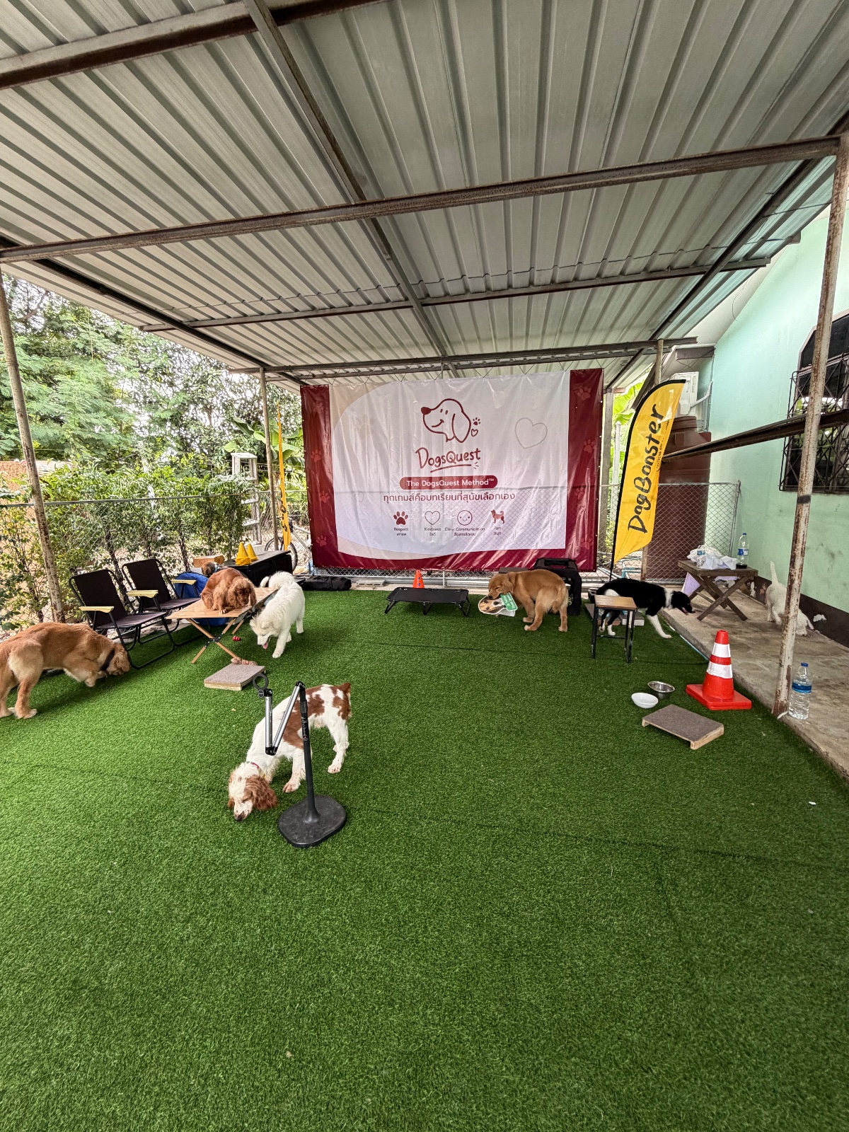 รูปDogsQuest 7 จาก 7