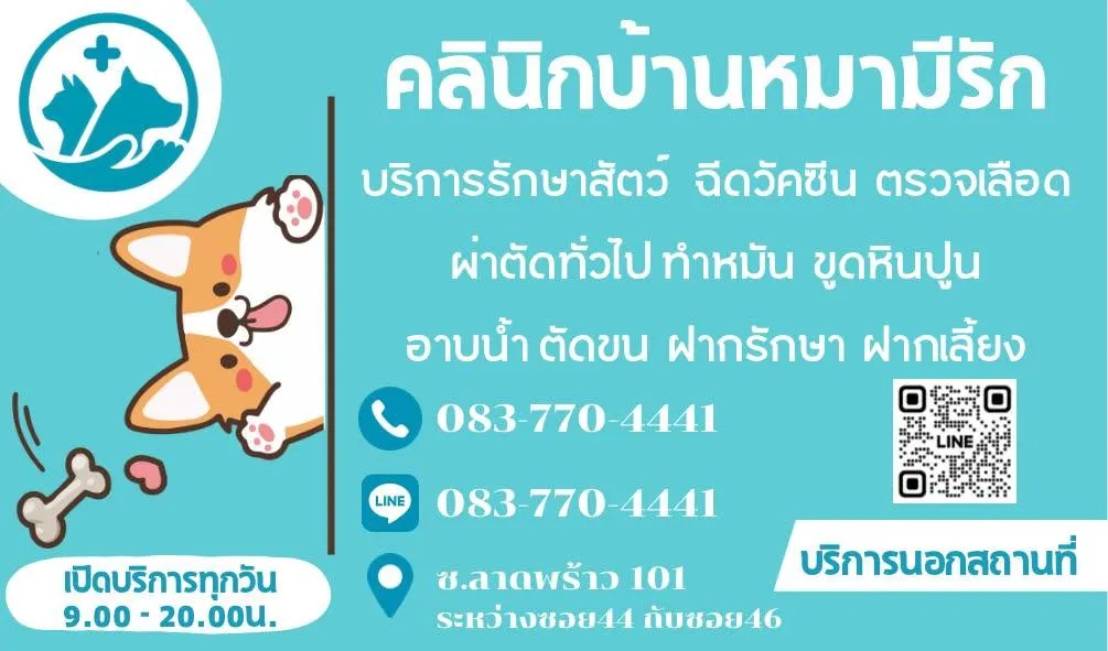 รูปบ้านหมอกะหมา สาขาลาดพร้าว 101 (คลินิกบ้านหมามีรัก) 3