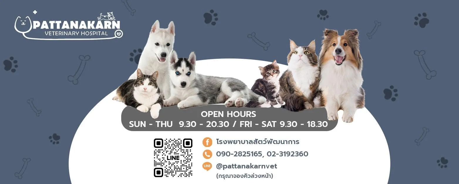 รูปโรงพยาบาลสัตว์พัฒนาการ (Pattanakarn Animal Hospital) 2