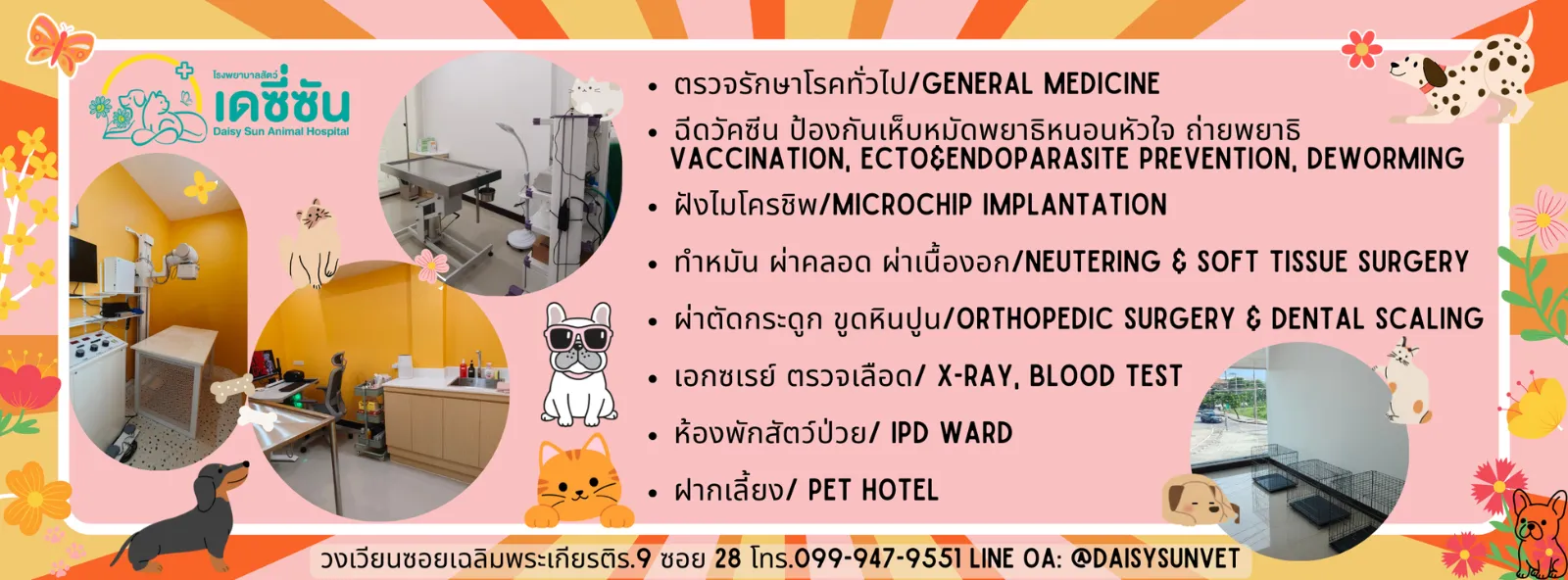 รูปโรงพยาบาลสัตว์เดซี่ซัน (Daisy Sun Animal Hospital) 2