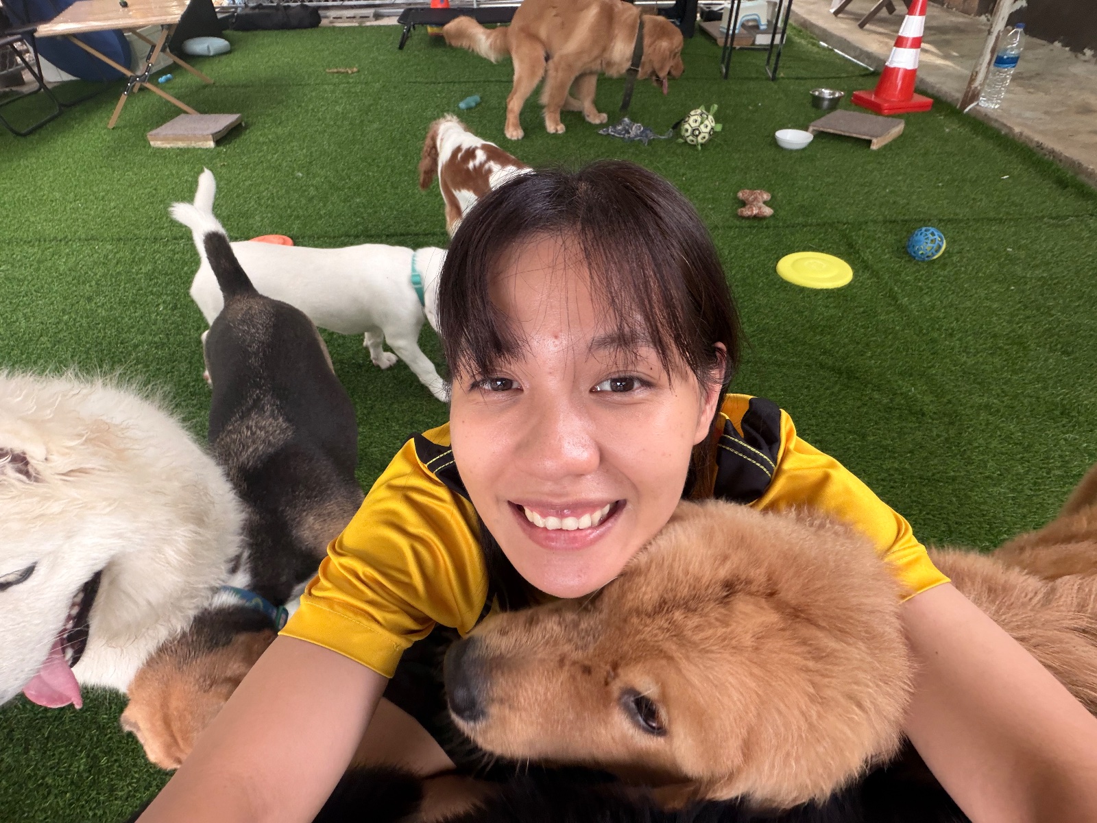 รูปDogsQuest 6 จาก 7