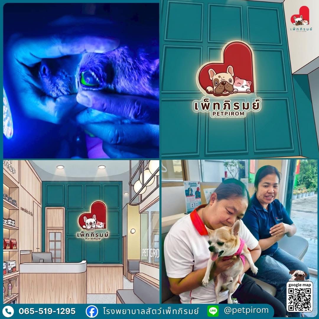 รูปโรงพยาบาลสัตว์เพ็ทภิรมย์ 4 จาก 4