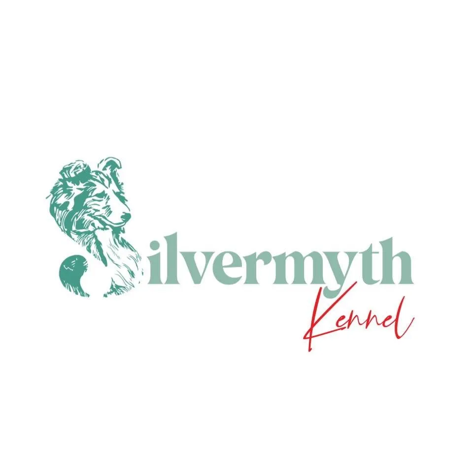 รูปSilverMyth Kennel (Silvermyth Shelties) 1 จาก 3