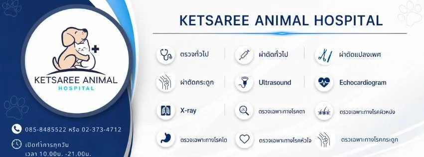 รูปโรงพยาบาลสัตว์เกศรี 2