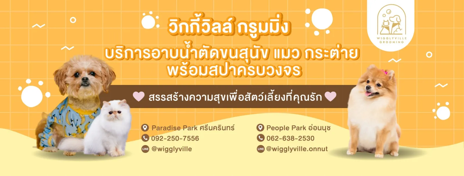 รูปวิกกี้วิลล์ กรูมมิ่ง สาขากรุงเทพกรีฑา (Wigglyville Grooming) 3
