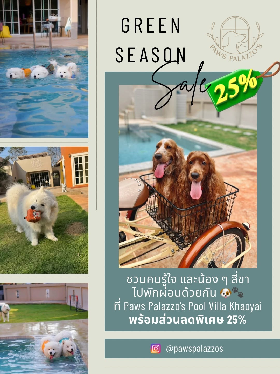รูปPaws Palazzo's Pool Villa Khaoyai (พอส์ พาลาซโซ่ พูลวิลล่าเขาใหญ่) 3