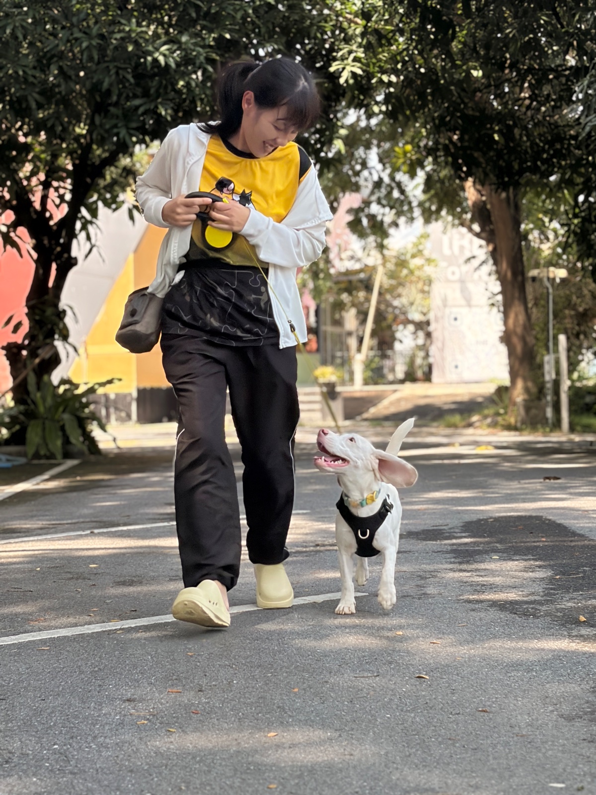 รูปDogsQuest 3