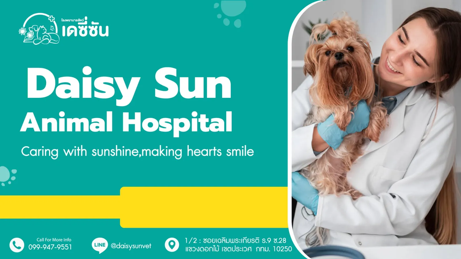รูปโรงพยาบาลสัตว์เดซี่ซัน (Daisy Sun Animal Hospital) 3