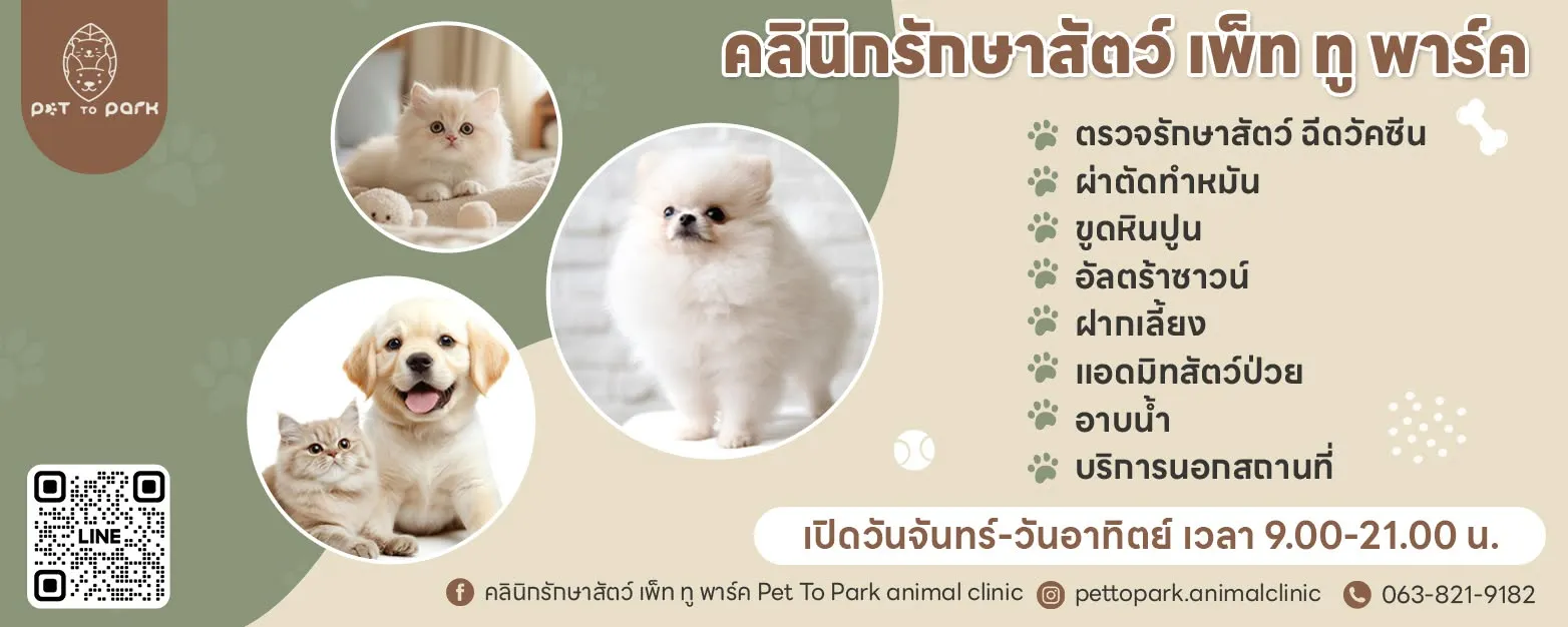 รูปคลินิกรักษาสัตว์เพ็ททูพาร์ค (Pet To Park) 2