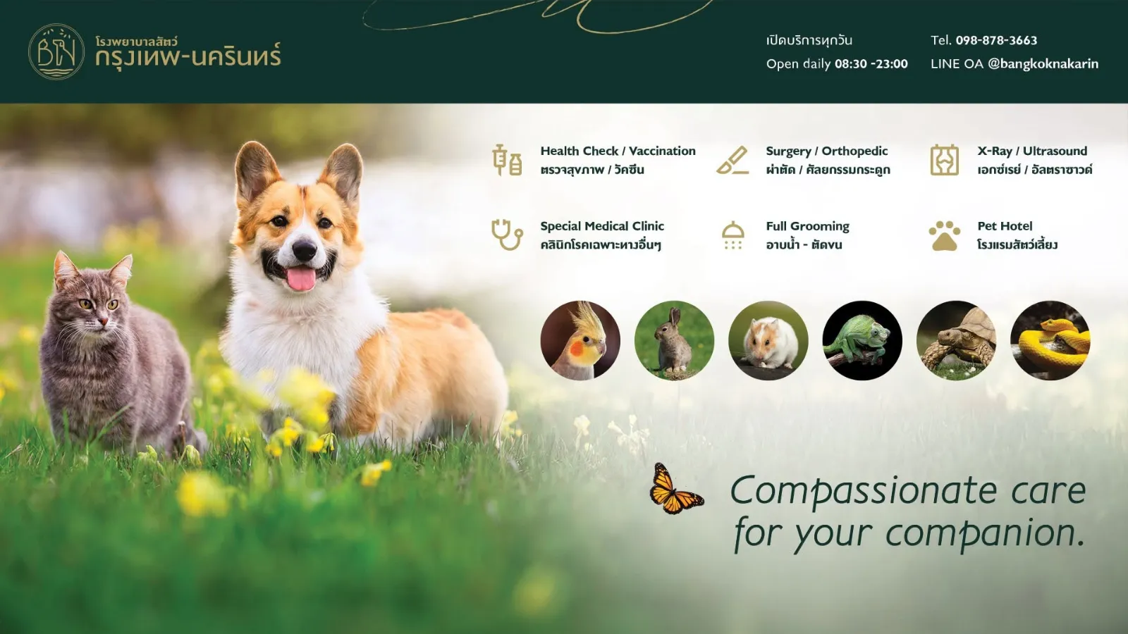 รูปโรงพยาบาลสัตว์ กรุงเทพ-นครินทร์ (Bangkok-Nakarin Animal Hospital) 2