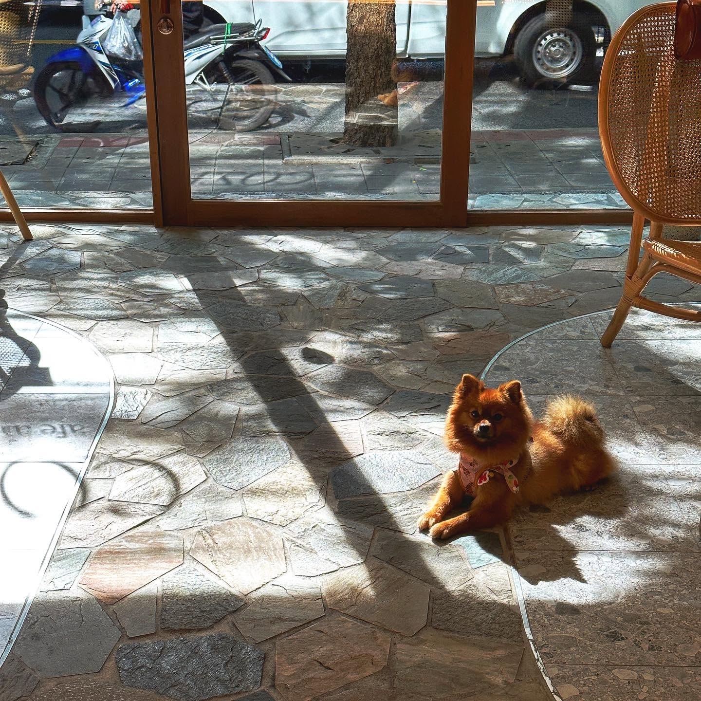 รูปCOZI Cafe and Bar 3