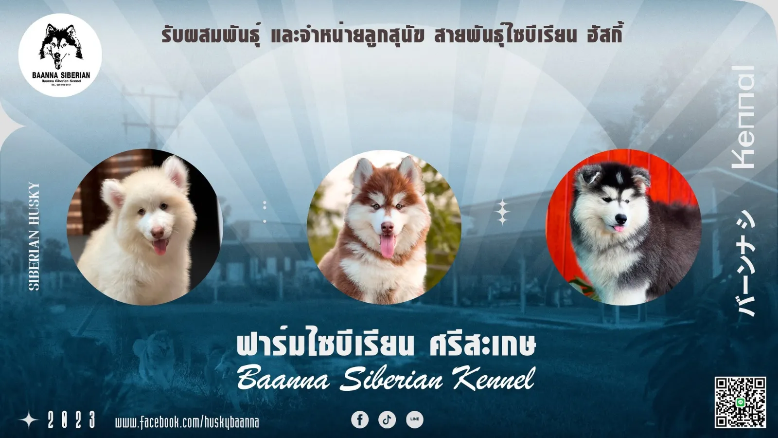 รูปM.A. DOG HOUSE (บ้านนาไซบีเรียน) 2 จาก 3