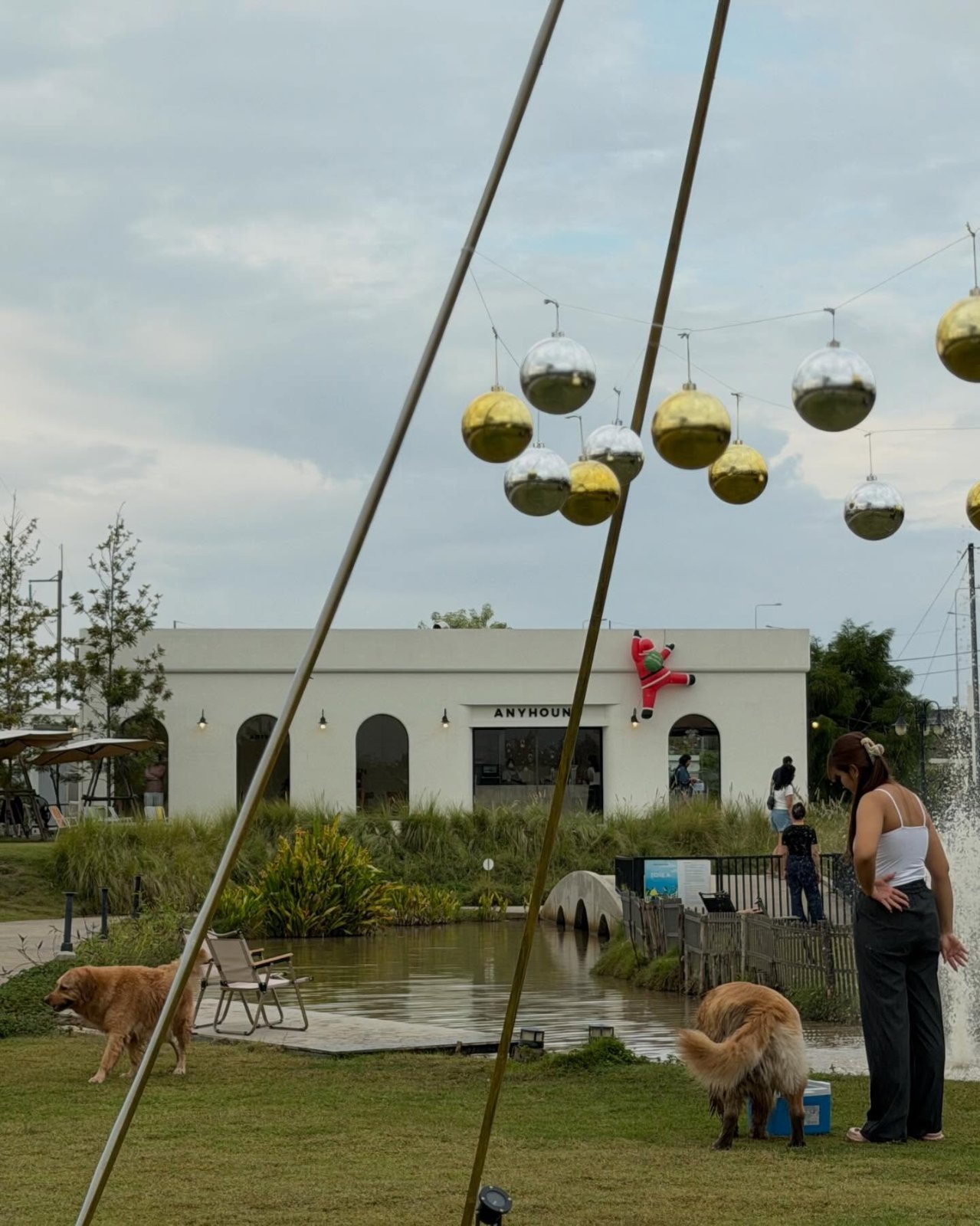 รูปANYHOUND – Cafe & Dog Park 2