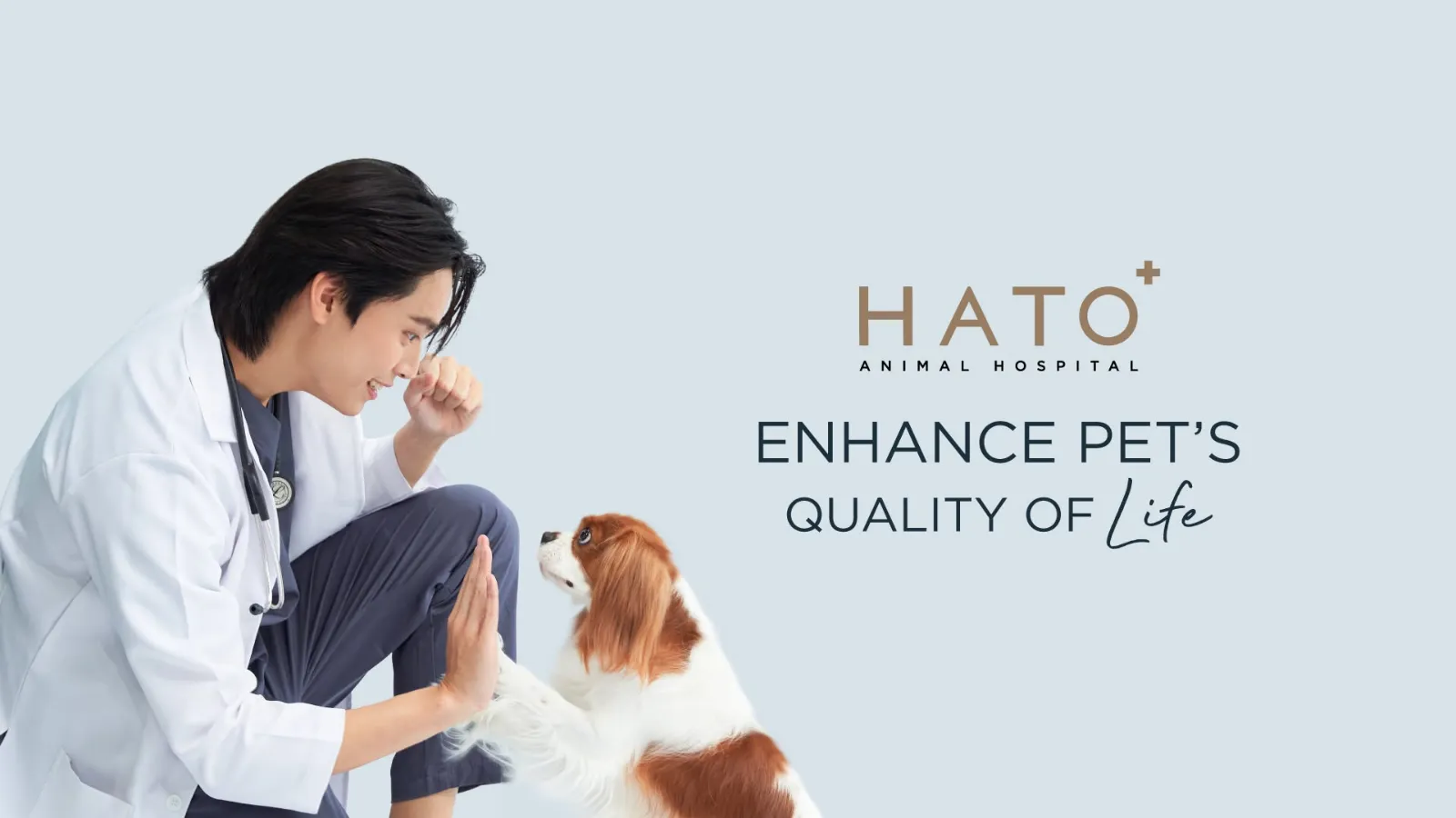 รูปโรงพยาบาลสัตว์ฮาโตะ สาขาพัฒนาการ (Hato Animal Hospital) 2
