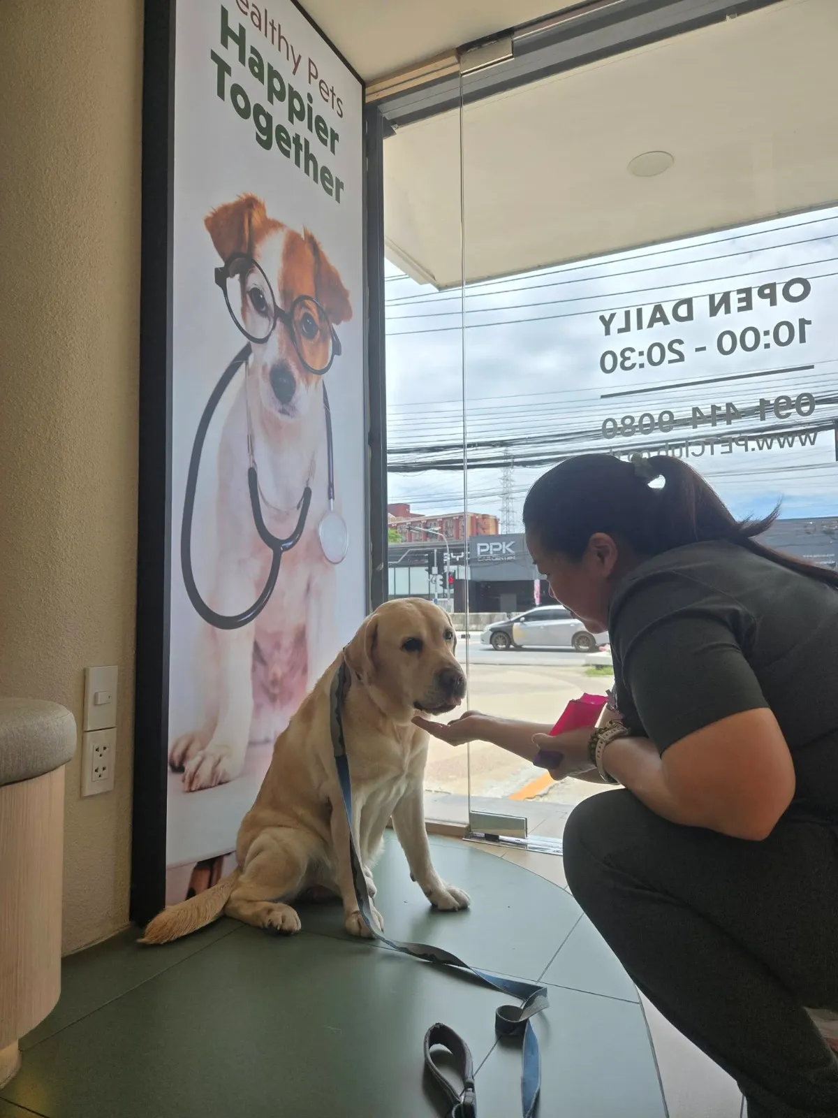 รูปHappy Howl - Dog Training and Behavioural Services by Vet 3 จาก 3