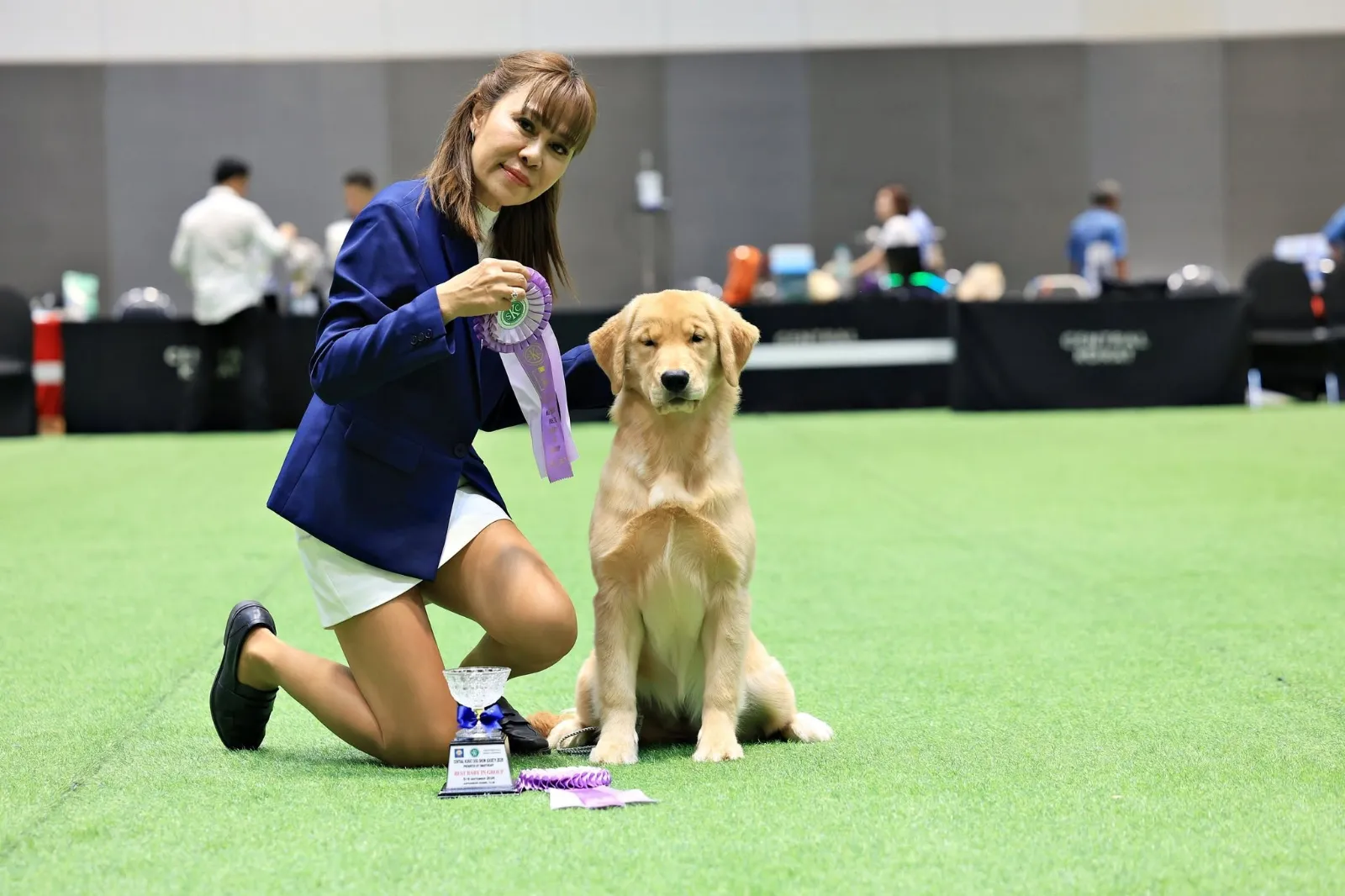 รูปGolden Charm Kennel 3 จาก 3