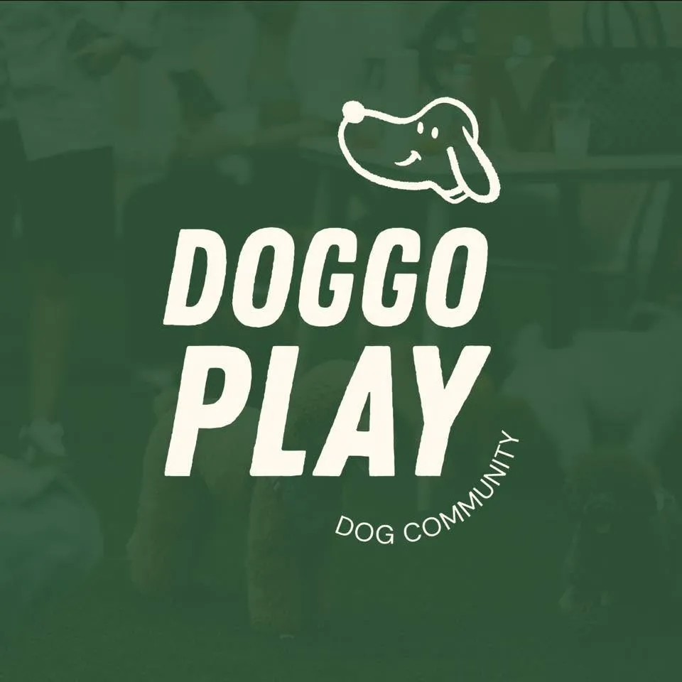 รูปDoGGo PLAY 1 จาก 3